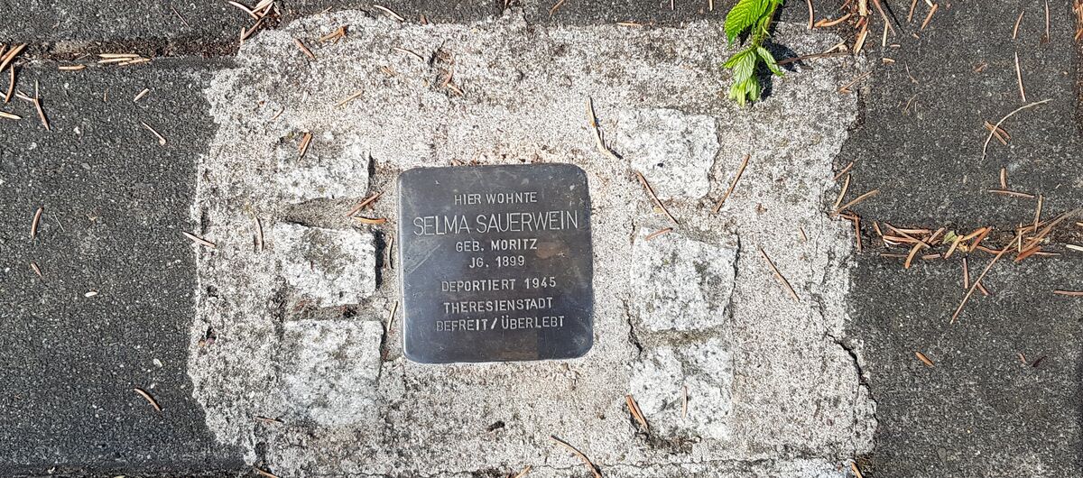Foto eines in einen gepflasterten Boden eingelassenen Gedenkstein - dem sogenannten Stolperstein. Darauf steht: Hier wohnte Selma Sauerwein, geb. Moritz, JG. 1899, deportiert 1945, Theresienstadt, befreit / überlebt