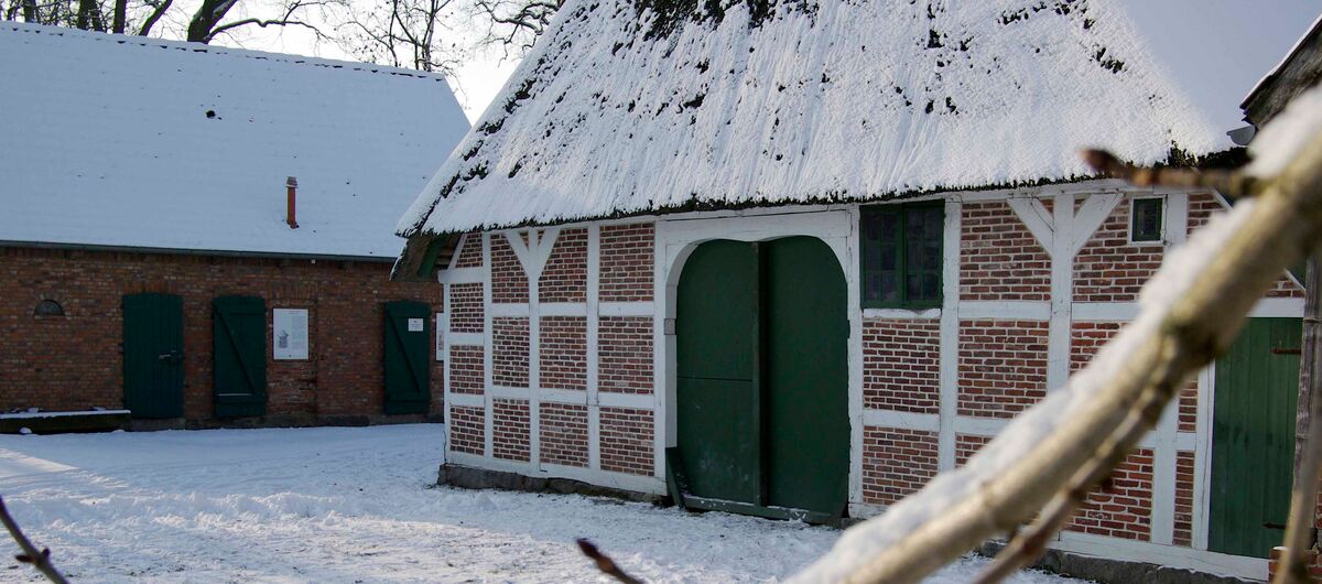 Foto eines Bauernhauses mit Strohdach. Seitlich dahinter steht ein Schuppen bzw. Stall, mit Dachpfannen gedeckt. Auf dem Hof und auf den Dächern liegt Schnee. Im Vordergrund ragt ein mit Schnee bedeckter Ast in das Foto.