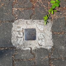Foto eines in einen gepflasterten Boden eingelassenen Gedenkstein - dem sogenannten Stolperstein. Darauf steht: Hier wohnte Selma Sauerwein, geb. Moritz, JG. 1899, deportiert 1945, Theresienstadt, befreit / überlebt