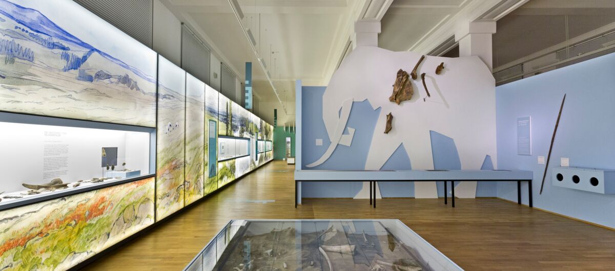 Raumansicht im Museum, Artefakte in Glaskästen an den Wänden sowie im Raum. Im Hintergrund ist ein Mammut als wandüberragende Schablone installiert, Knochenfragmente sind stellenweise auf dem Tier angebracht.