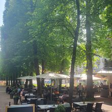 Foto einer Restaurant-Terrasse. Inmitten dieser beginnt die rechte Seite einer langen Allee mit hohen grünen Bäumen, die sich zur linken Bildseite hinzieht. Die Sonne scheint durch die Blätter.